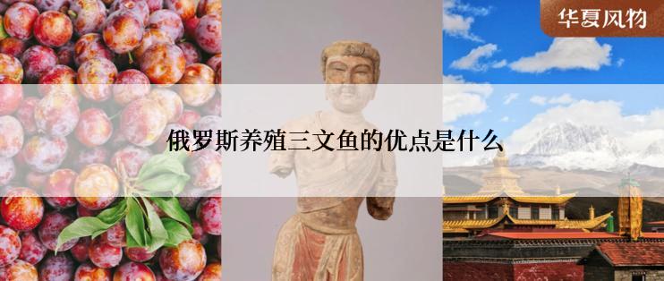  俄罗斯养殖三文鱼的优点是什么
