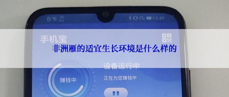 非洲雁的适宜生长环境是什么样的