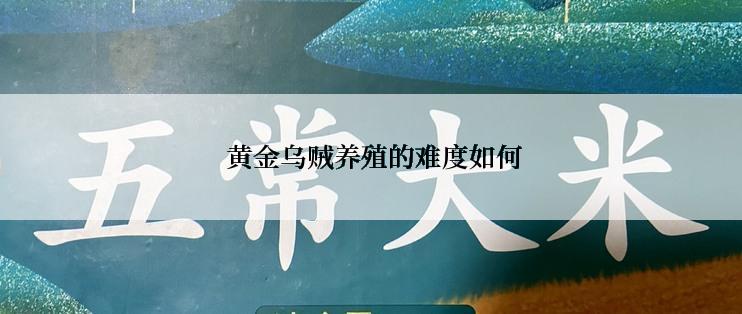  黄金乌贼养殖的难度如何