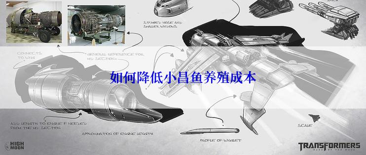 如何降低小昌鱼养殖成本