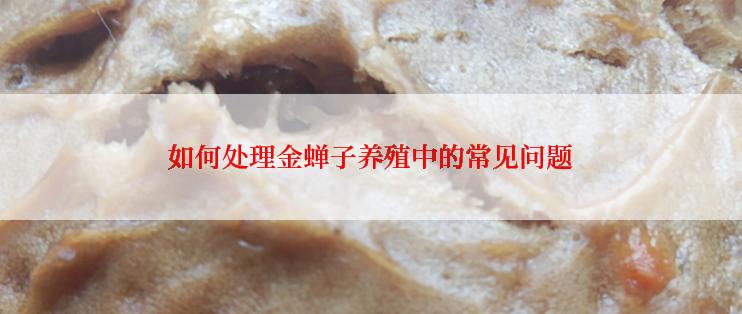 如何处理金蝉子养殖中的常见问题