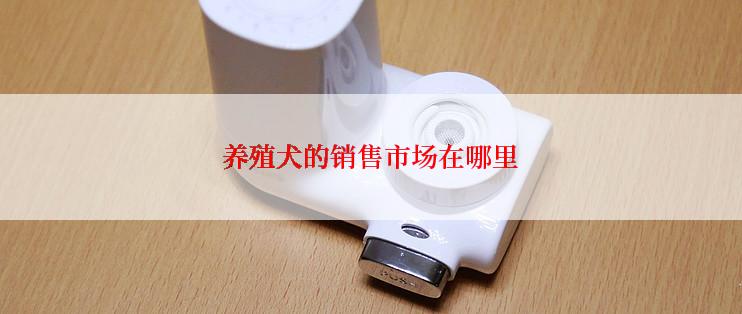 养殖犬的销售市场在哪里