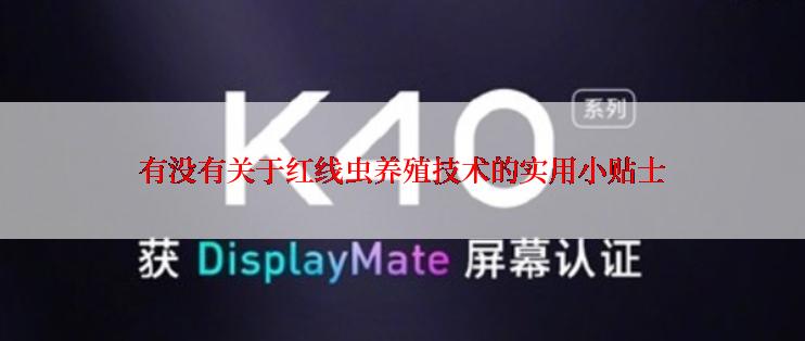 有没有关于红线虫养殖技术的实用小贴士