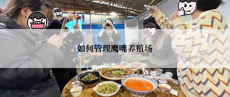 如何管理鹰嘴养殖场