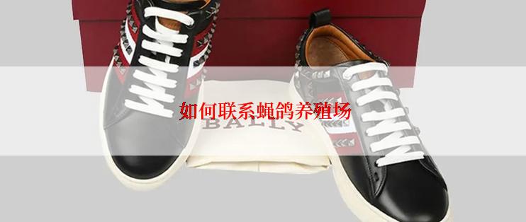  如何联系蝇鸽养殖场