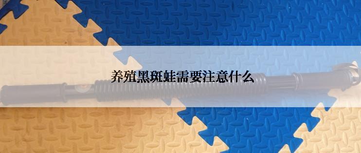  养殖黑斑蛙需要注意什么