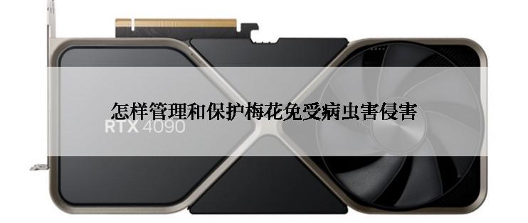 怎样管理和保护梅花免受病虫害侵害
