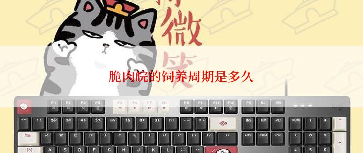 脆肉皖的饲养周期是多久