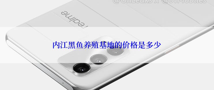 内江黑鱼养殖基地的价格是多少