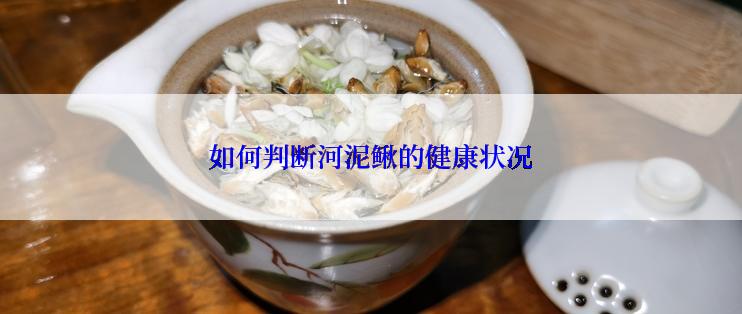 如何判断河泥鳅的健康状况