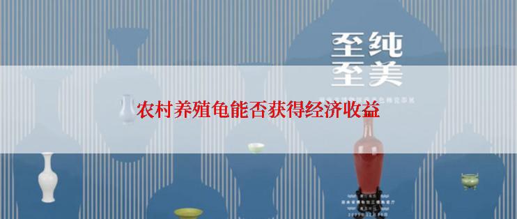 农村养殖龟能否获得经济收益