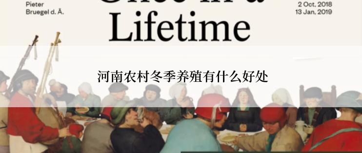  河南农村冬季养殖有什么好处