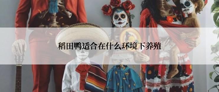 稻田鸭适合在什么环境下养殖