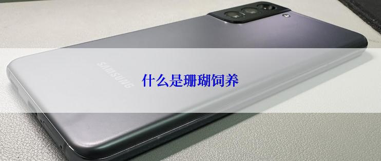 什么是珊瑚饲养