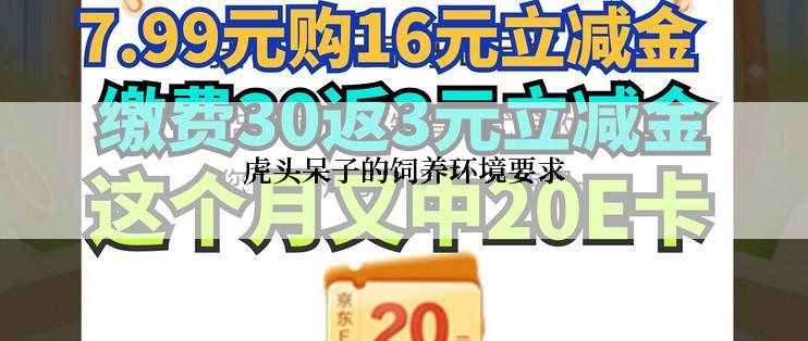 虎头呆子的饲养环境要求