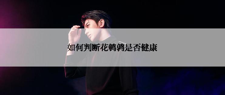 如何判断花鹌鹑是否健康