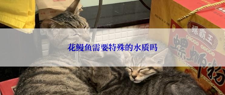花鳗鱼需要特殊的水质吗