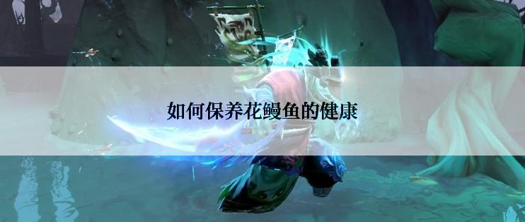 如何保养花鳗鱼的健康