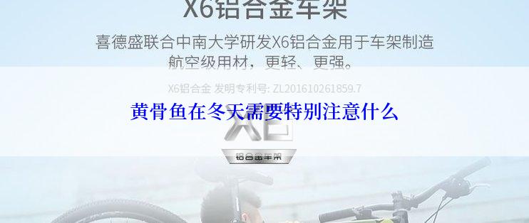黄骨鱼在冬天需要特别注意什么