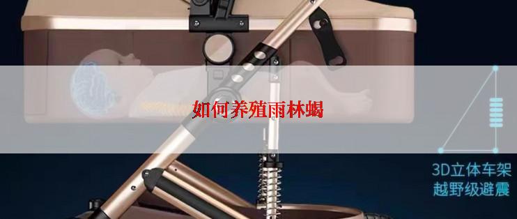 如何养殖雨林蝎