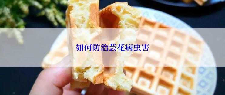 如何防治芸花病虫害