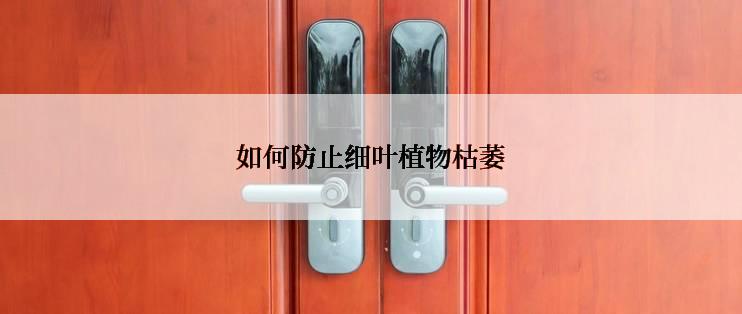 如何防止细叶植物枯萎