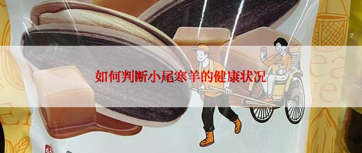 如何判断小尾寒羊的健康状况