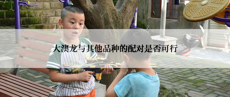 大澳龙与其他品种的配对是否可行