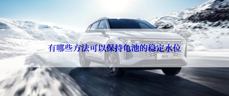 有哪些方法可以保持龟池的稳定水位