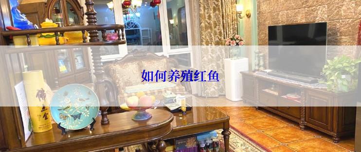如何养殖红鱼