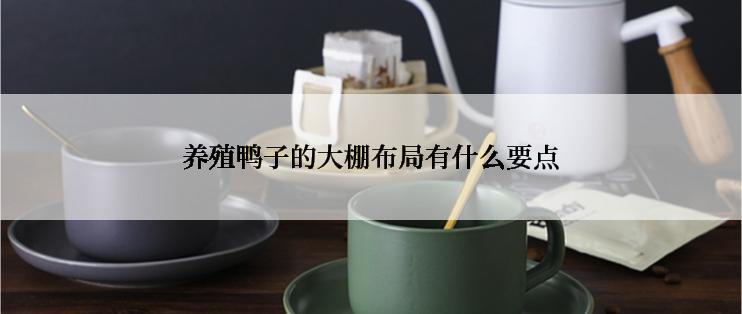 养殖鸭子的大棚布局有什么要点