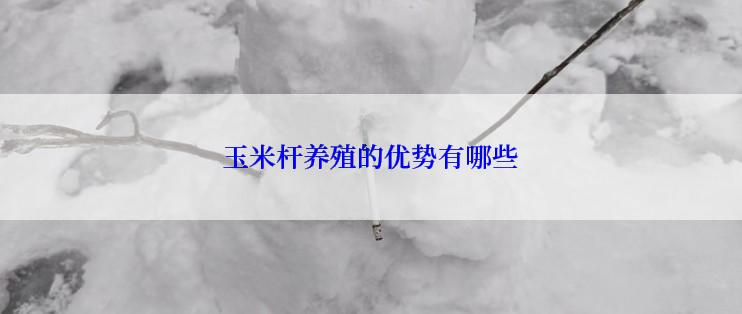 玉米杆养殖的优势有哪些