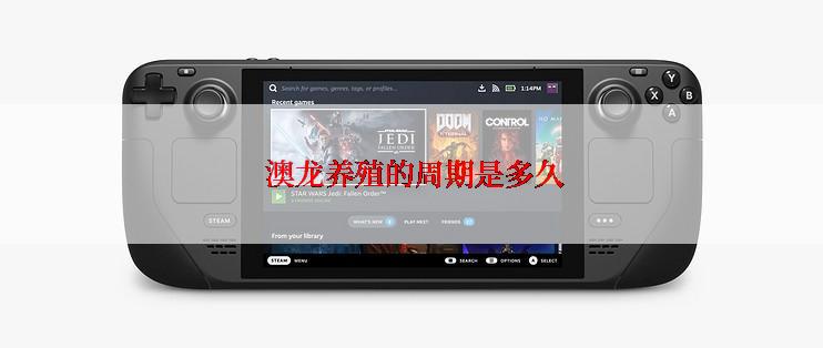 澳龙养殖的周期是多久