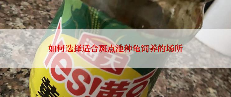 如何选择适合斑点池种龟饲养的场所
