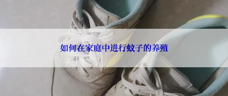 如何在家庭中进行蚊子的养殖