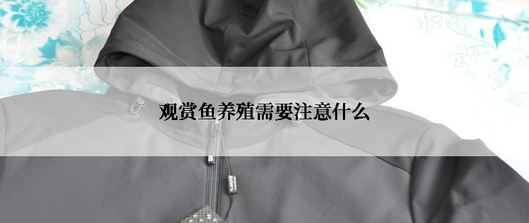 观赏鱼养殖需要注意什么