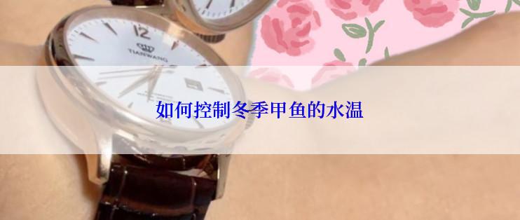 如何控制冬季甲鱼的水温