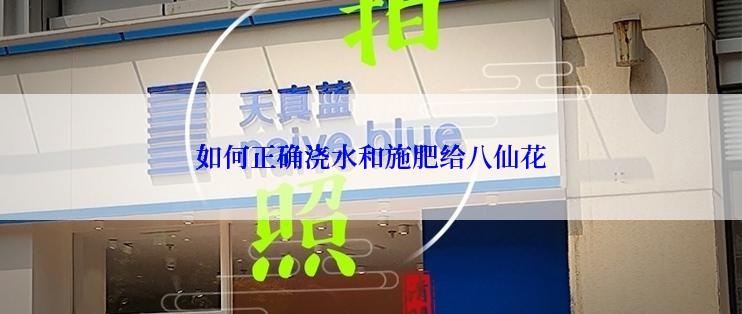 如何正确浇水和施肥给八仙花