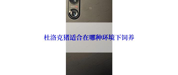 杜洛克猪适合在哪种环境下饲养