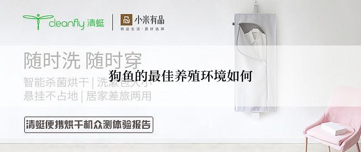 狗鱼的最佳养殖环境如何