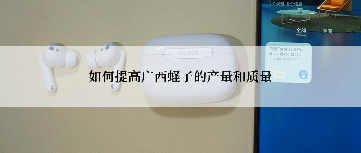 如何提高广西蛏子的产量和质量
