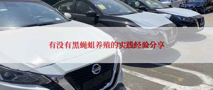 有没有黑蝇蛆养殖的实践经验分享