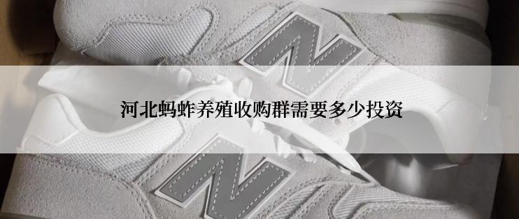 河北蚂蚱养殖收购群需要多少投资