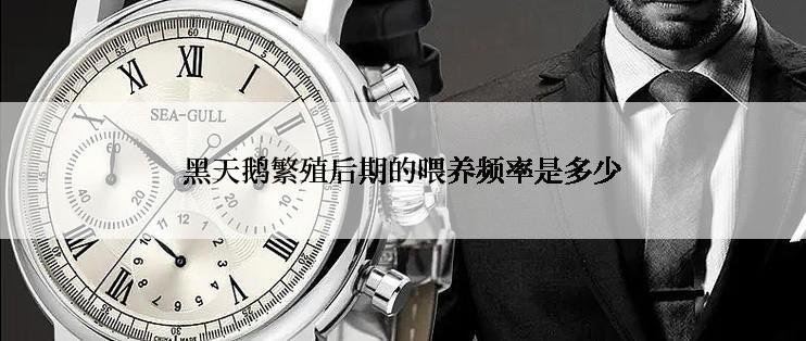 黑天鹅繁殖后期的喂养频率是多少