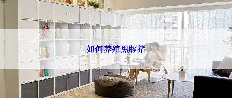 如何养殖黑豚猪