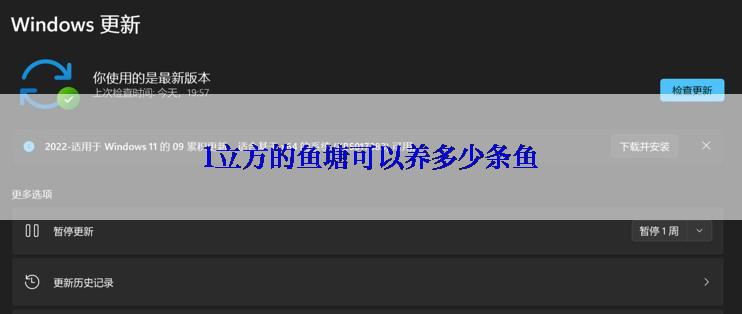 1立方的鱼塘可以养多少条鱼