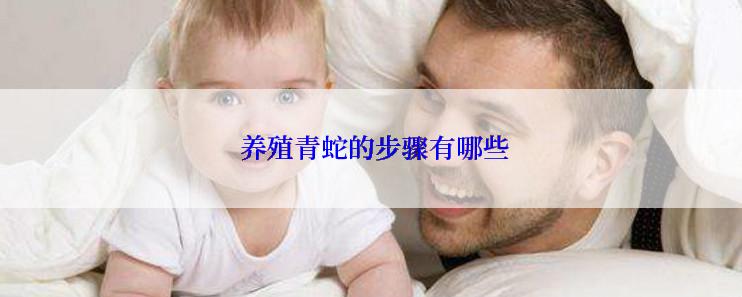  养殖青蛇的步骤有哪些