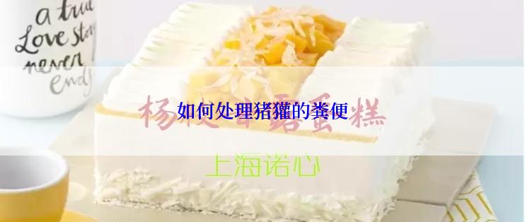如何处理猪獾的粪便