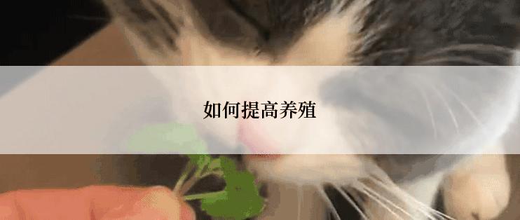 如何提高养殖
