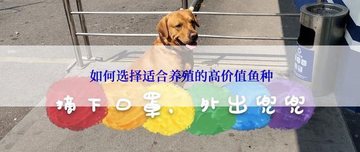  如何选择适合养殖的高价值鱼种
